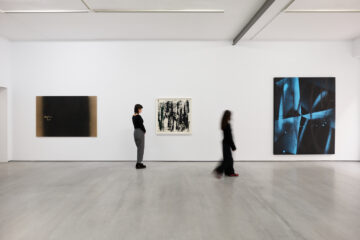 Esto no es un monocromo