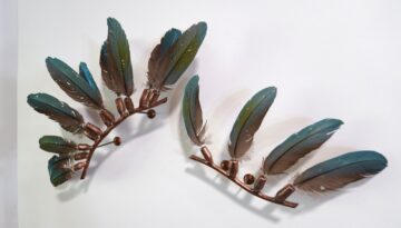 Listen to the Hummingbird