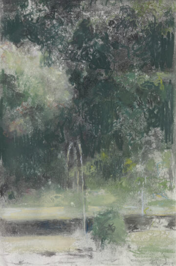 Carmen Laffón. Naturalezas silentes