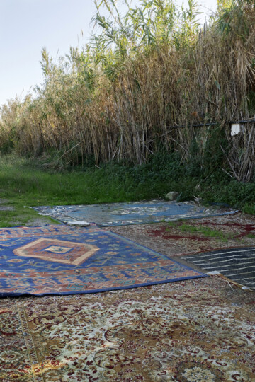 Qualquer coisa de intermédio