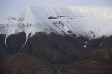 Subjects in mirror are closer than they appear